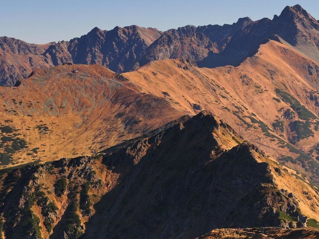 Шале Country Home in heart of Tatra mountains Закопане